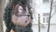 015-37.jpg