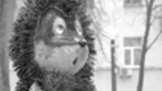 015-37.jpg