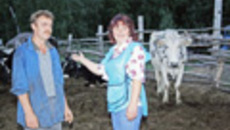 025-52.jpg