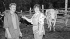 025-52.jpg