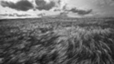 059-16.jpg