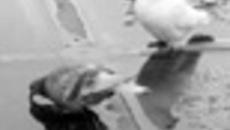 083-58.jpg