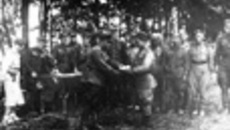 083-53.jpg