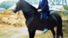 083-44.jpg