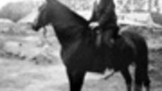 083-44.jpg