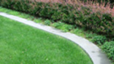 086-45.jpg
