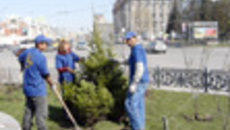 086-16.jpg