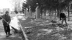 087-16.jpg