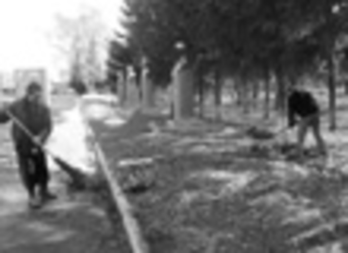 087-16.jpg