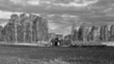 089-02.jpg