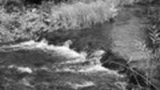092-07.jpg