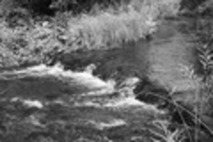 092-07.jpg