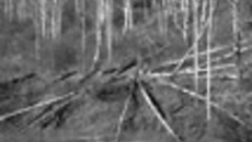 099-15.jpg