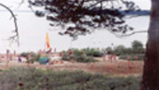 101-08.jpg