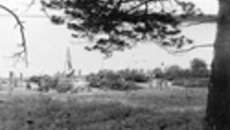 101-08.jpg