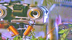 106-24.jpg