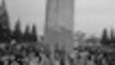 111-01.jpg