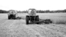 115-05.jpg