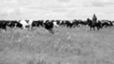 120-05.jpg