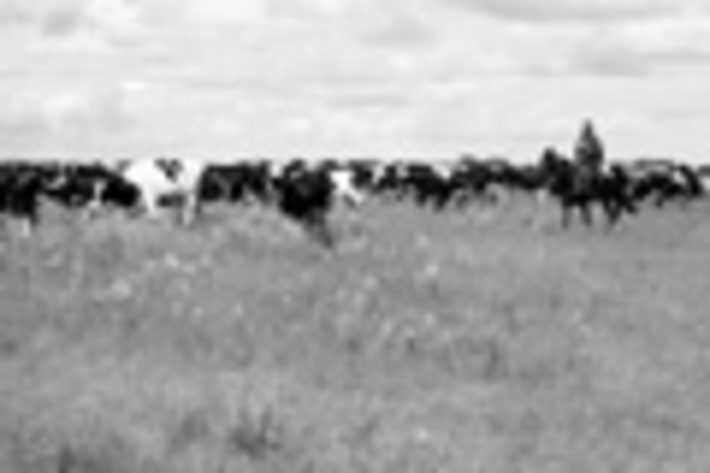 120-05.jpg