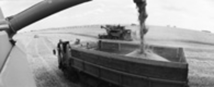 138-06.jpg