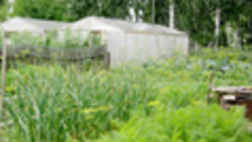 139-47.jpg