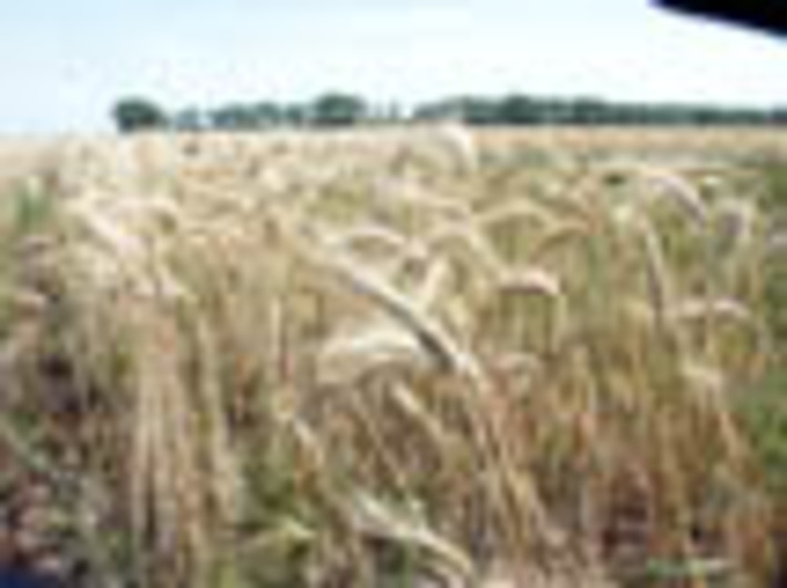 151-39.jpg