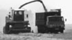153-14.jpg