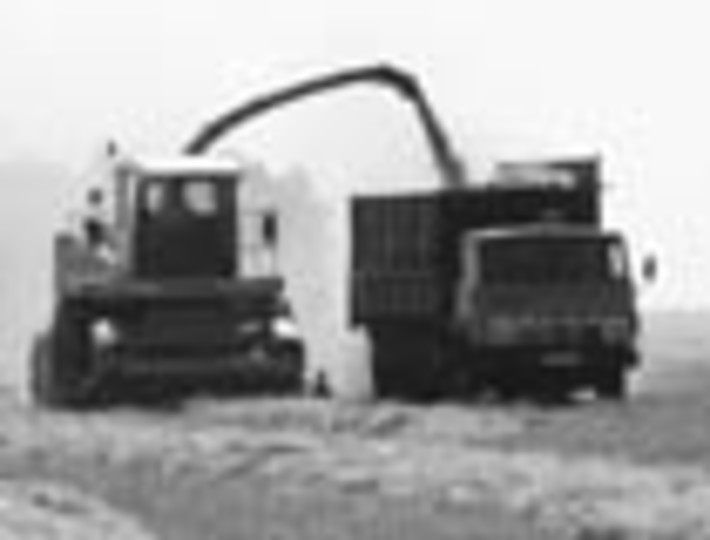 153-14.jpg