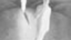 156-04.jpg