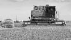 158-11.jpg