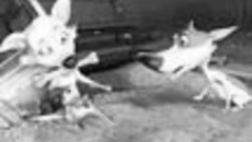 159-35.jpg