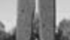 161-13.jpg