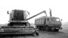 161-28.jpg
