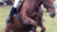 171-20.jpg
