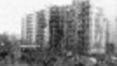 173-14.jpg