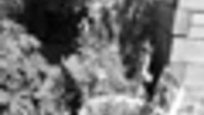 179-60.jpg