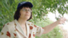 179-49.jpg