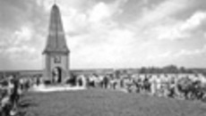 146-17.jpg