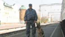 136-24.jpg