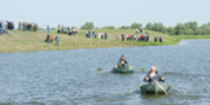 131-38.jpg