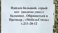 Форс-мажор. Фото Елены КОСТИНОЙ.