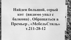 Форс-мажор. Фото Елены КОСТИНОЙ.