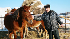 Одно из богатств Арифа Гусейнова — кони.