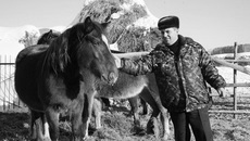 Одно из богатств Арифа Гусейнова — кони.