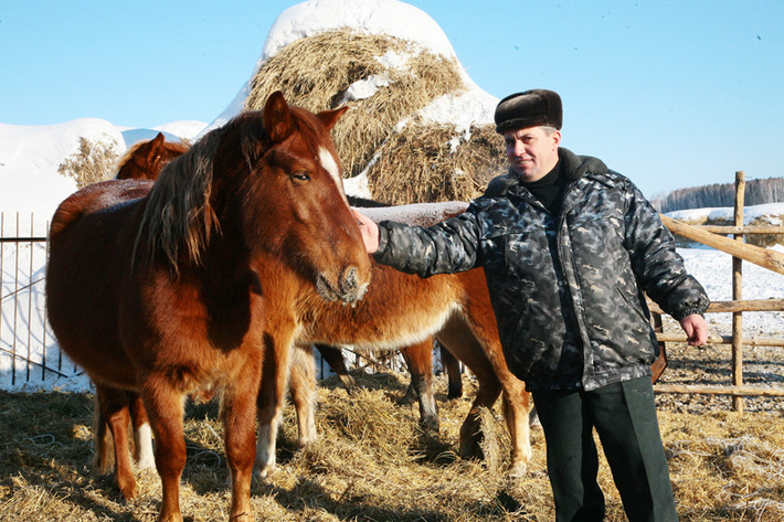 Одно из богатств Арифа Гусейнова — кони.