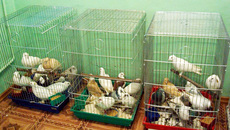 «Задержанные» ждут своей участи.