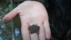 Дорогая находка.