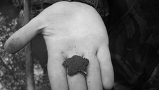 Дорогая находка.