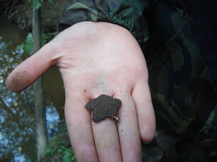 Дорогая находка.